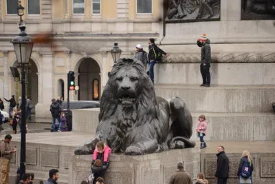 DSC_5768 (Large).JPG